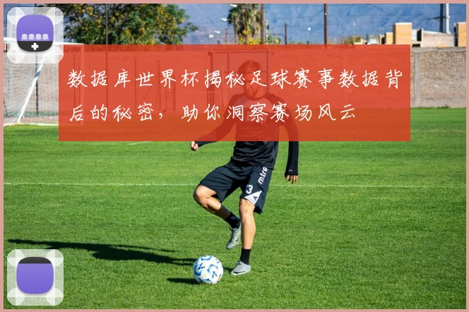 数据库世界杯揭秘足球赛事数据背后的秘密，助你洞察赛场风云