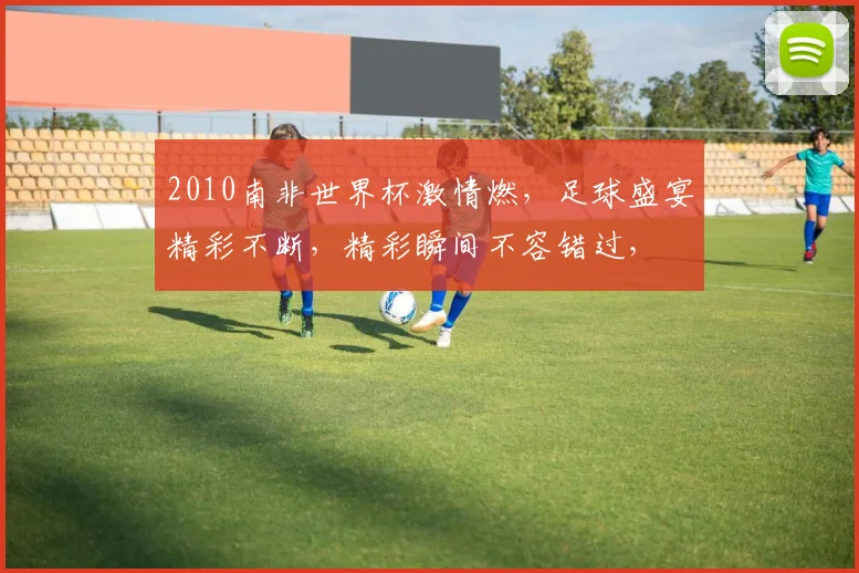 2010南非世界杯激情燃，足球盛宴精彩不断，精彩瞬间不容错过，