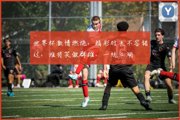 世界杯激情燃烧，精彩对决不容错过，谁将笑傲群雄，一统江湖